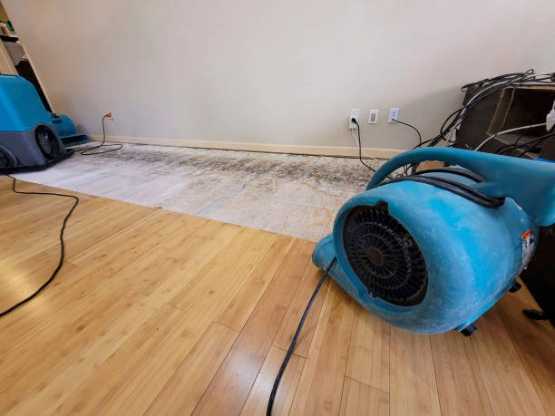 Professional Ceiling Water Damage Repair technician working in Milford, DE